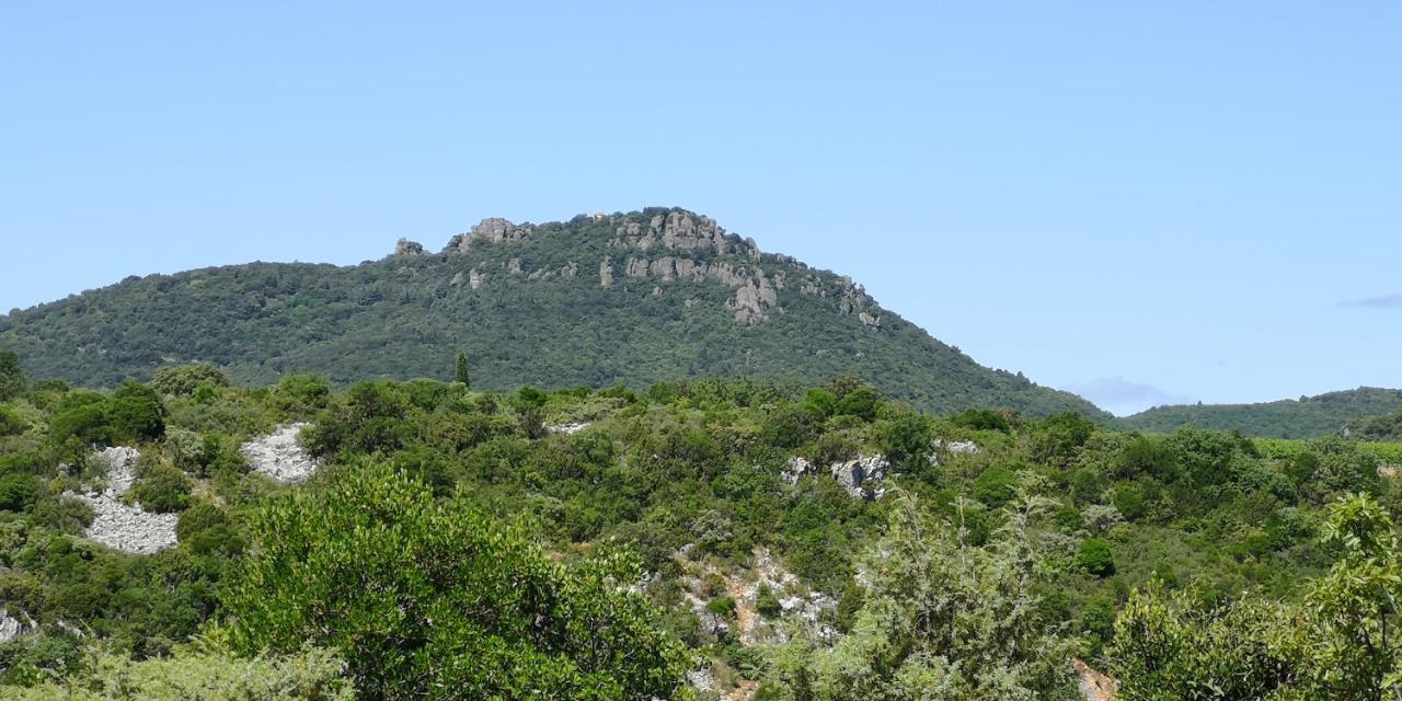 Bed and Breakfast Le Mimosa Saint-Saturnin-de-Lucian Экстерьер фото