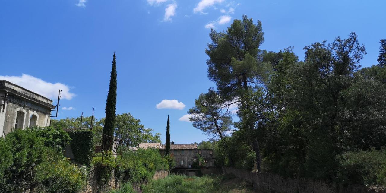 Bed and Breakfast Le Mimosa Saint-Saturnin-de-Lucian Экстерьер фото
