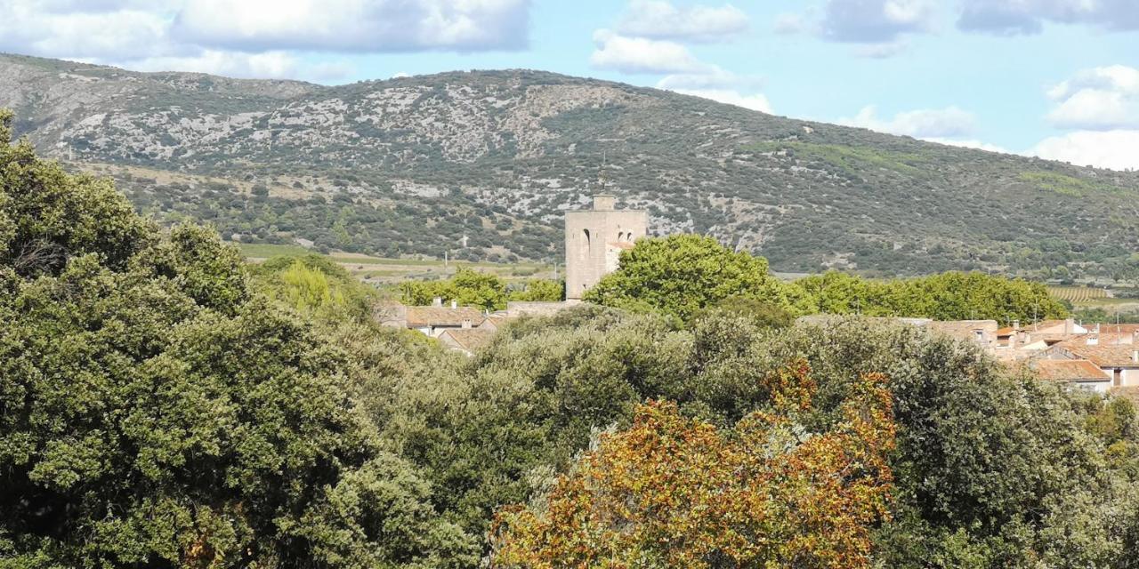 Bed and Breakfast Le Mimosa Saint-Saturnin-de-Lucian Экстерьер фото