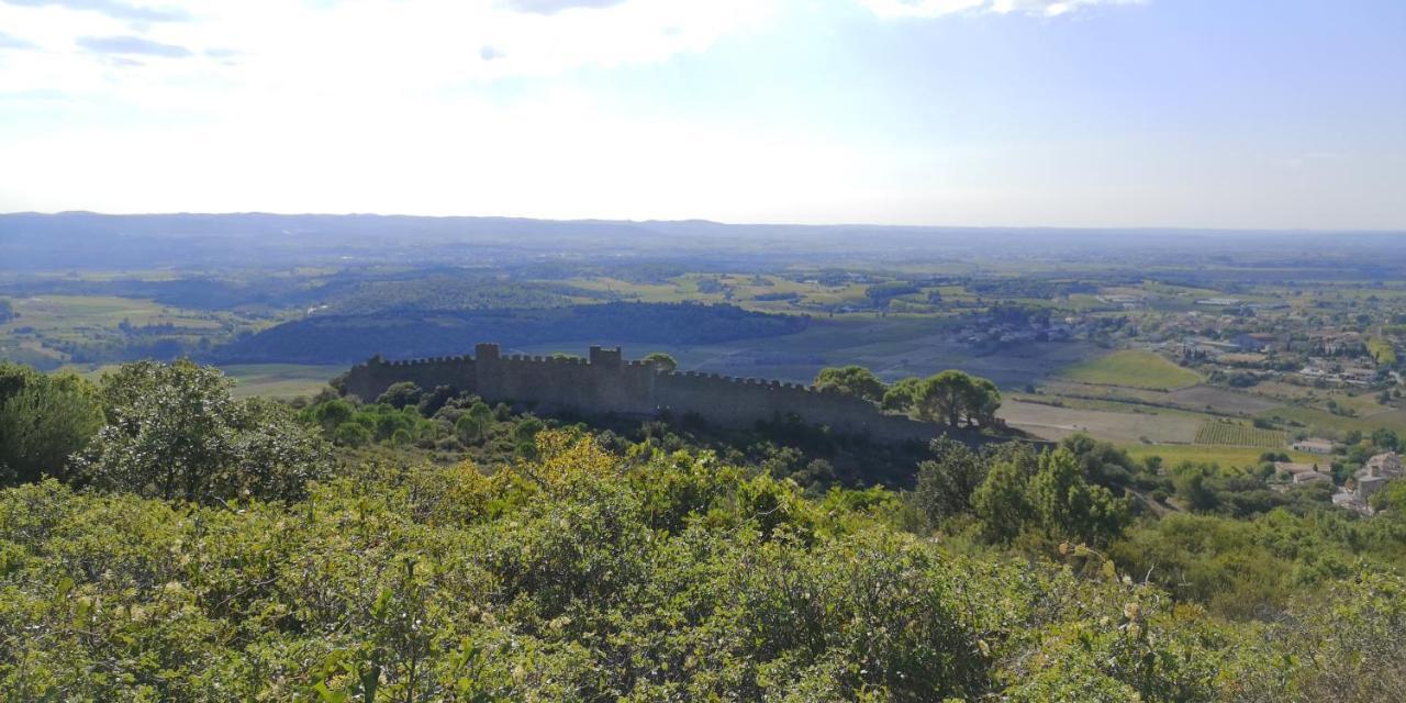 Bed and Breakfast Le Mimosa Saint-Saturnin-de-Lucian Экстерьер фото