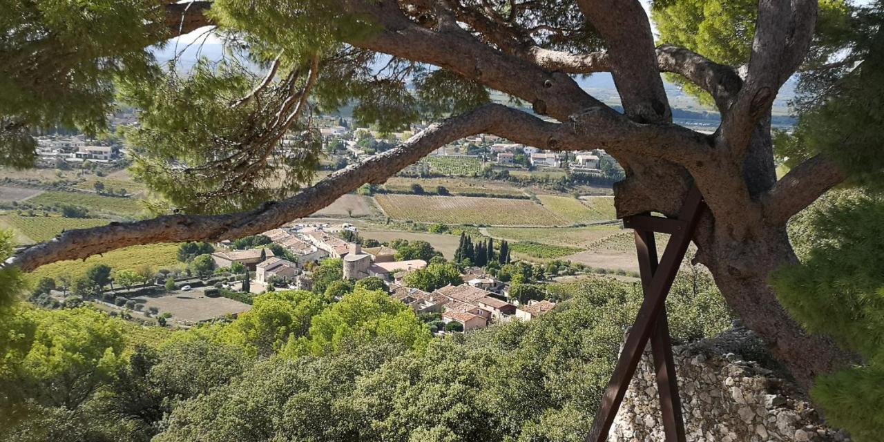 Bed and Breakfast Le Mimosa Saint-Saturnin-de-Lucian Экстерьер фото