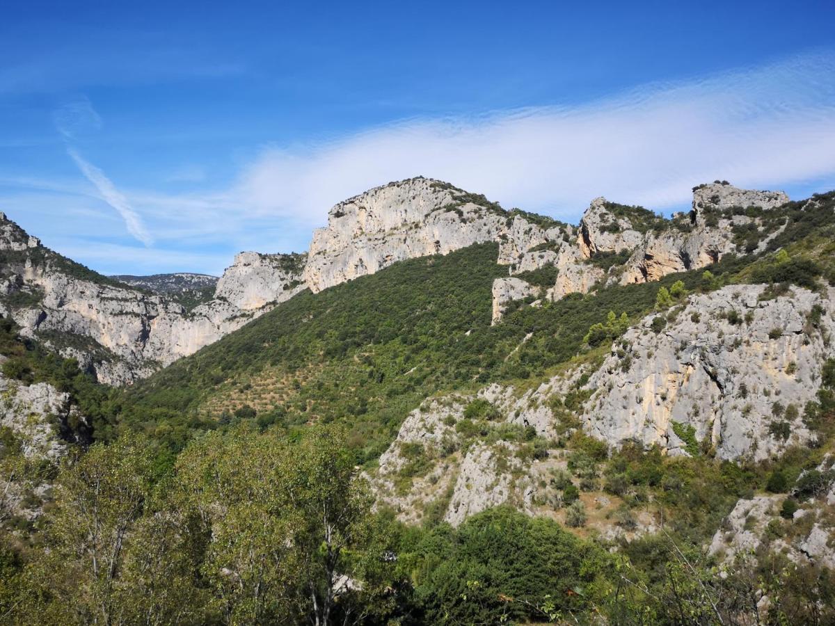 Bed and Breakfast Le Mimosa Saint-Saturnin-de-Lucian Экстерьер фото