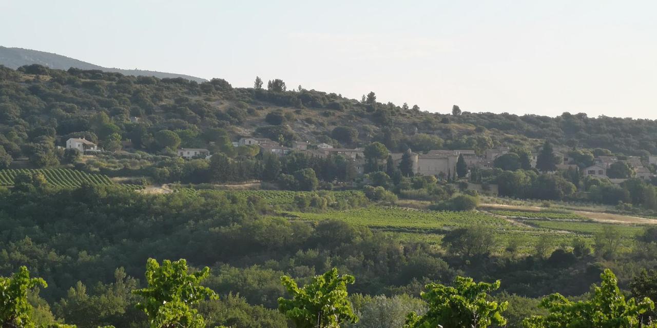 Bed and Breakfast Le Mimosa Saint-Saturnin-de-Lucian Экстерьер фото