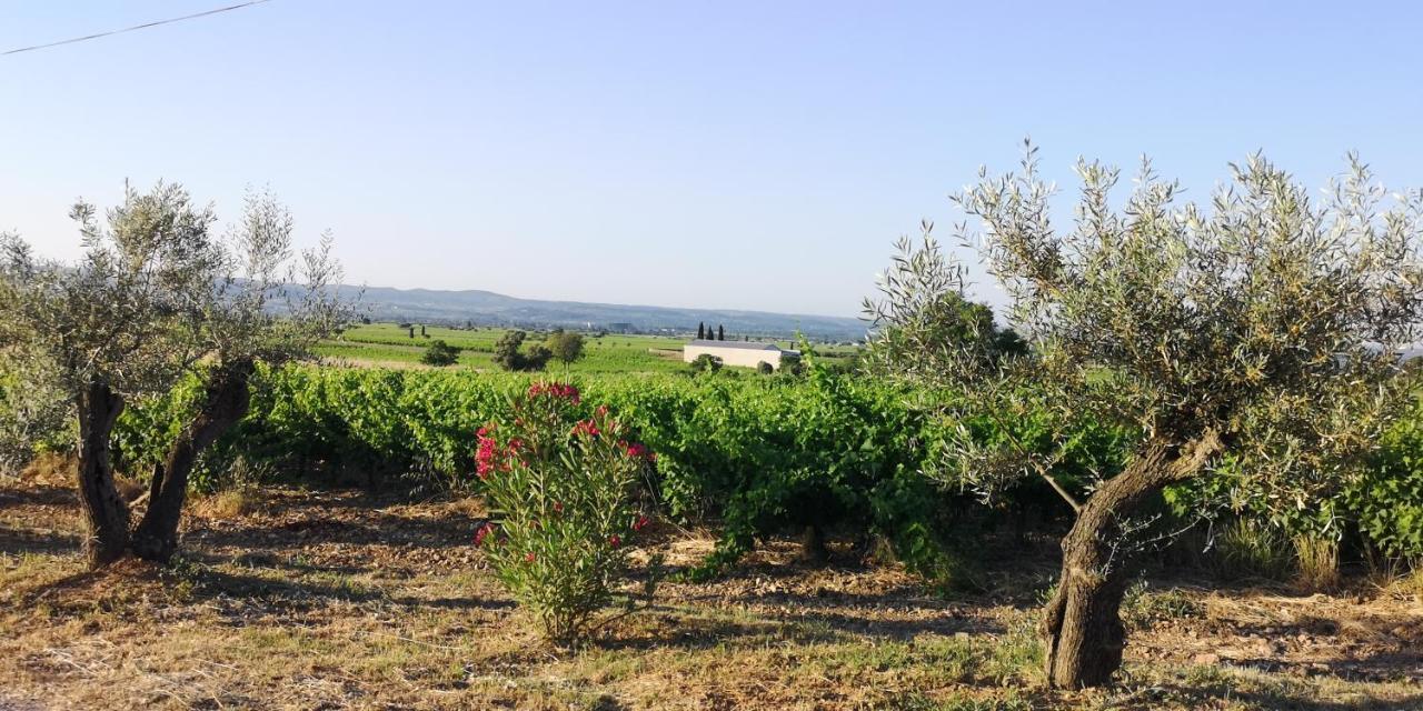 Bed and Breakfast Le Mimosa Saint-Saturnin-de-Lucian Экстерьер фото