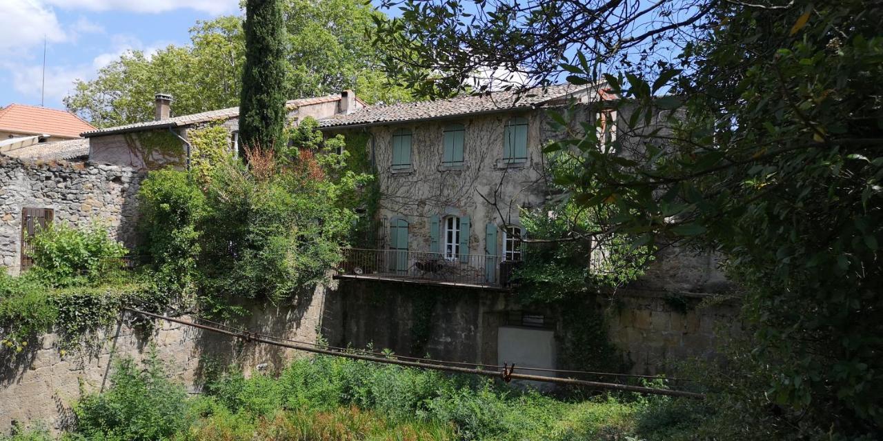 Bed and Breakfast Le Mimosa Saint-Saturnin-de-Lucian Экстерьер фото