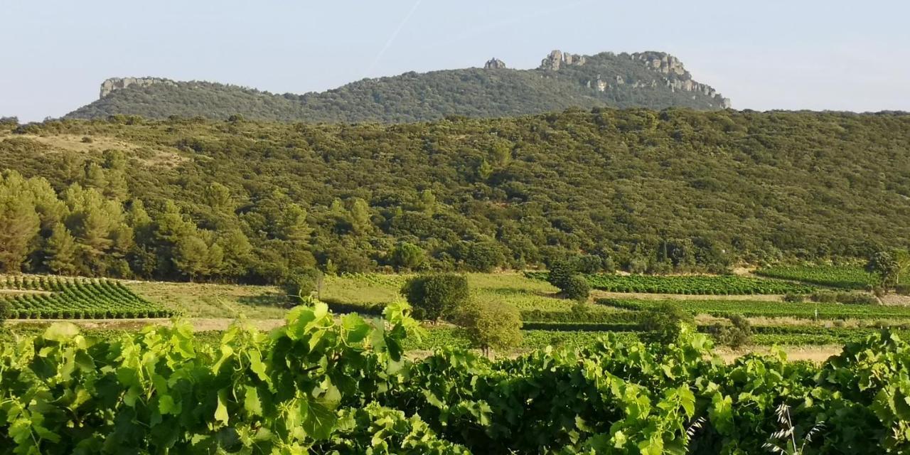 Bed and Breakfast Le Mimosa Saint-Saturnin-de-Lucian Экстерьер фото