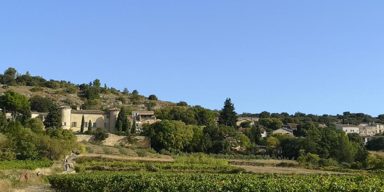 Bed and Breakfast Le Mimosa Saint-Saturnin-de-Lucian Экстерьер фото