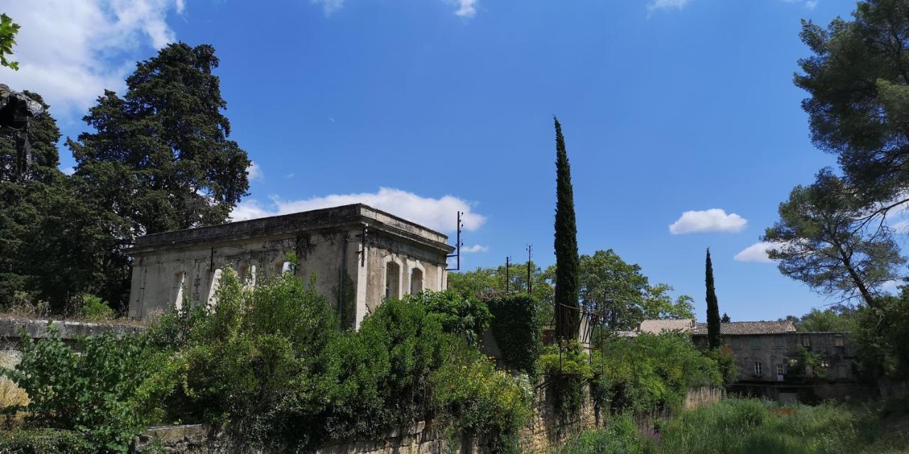 Bed and Breakfast Le Mimosa Saint-Saturnin-de-Lucian Экстерьер фото