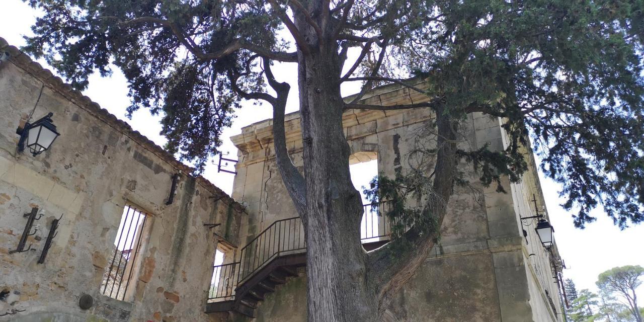 Bed and Breakfast Le Mimosa Saint-Saturnin-de-Lucian Экстерьер фото